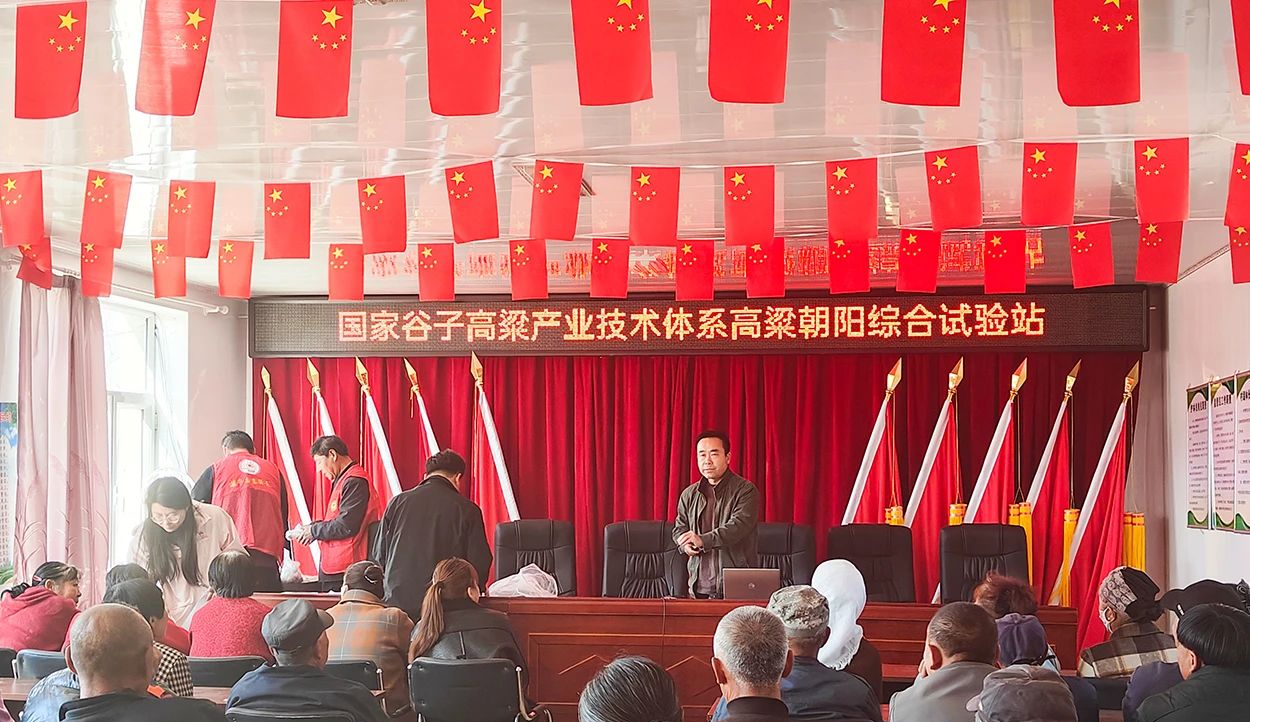 成人网站