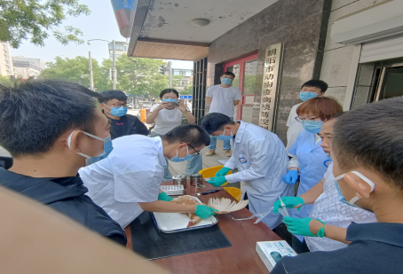 成人网站