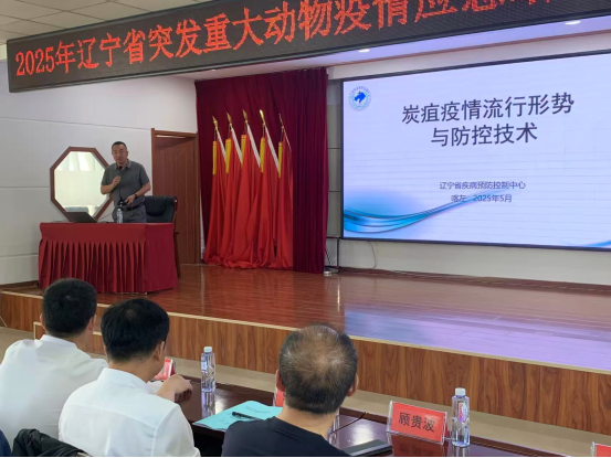 成人网站