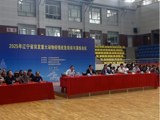 成人网站
