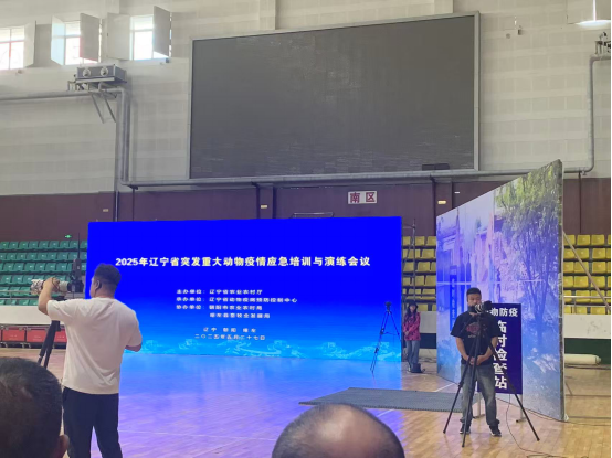 成人网站