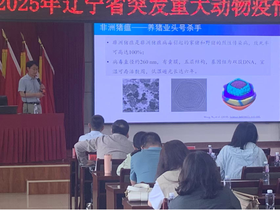 成人网站