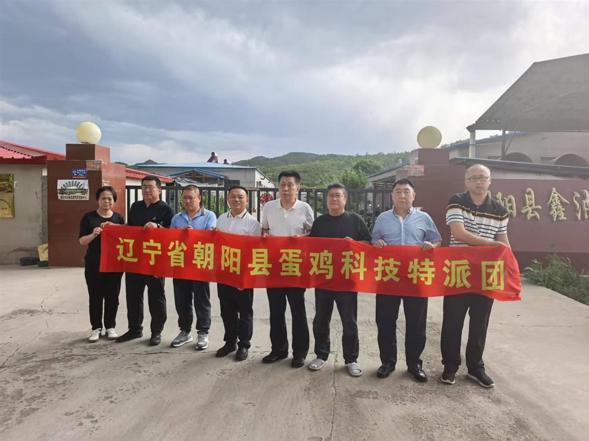 成人网站