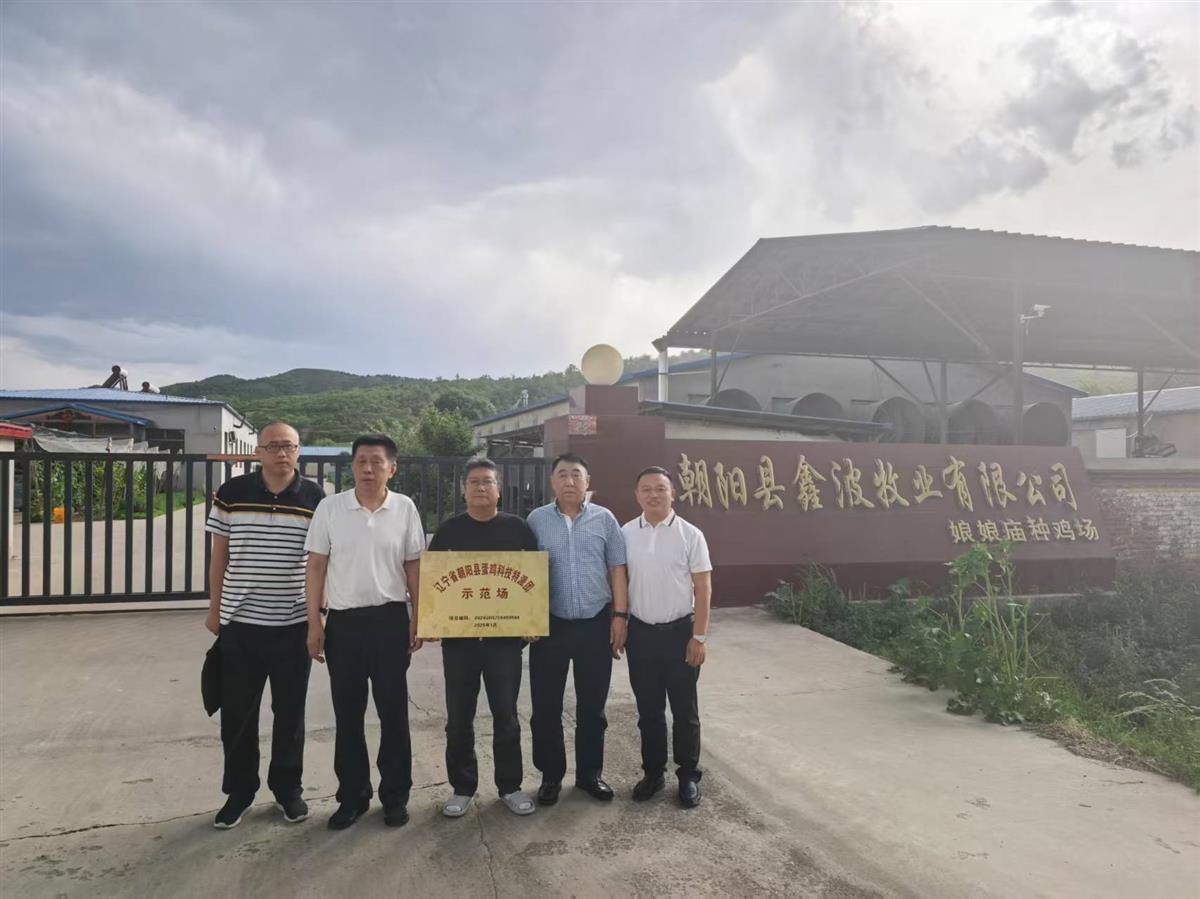 成人网站