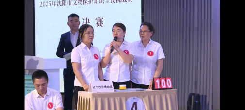 成人网站