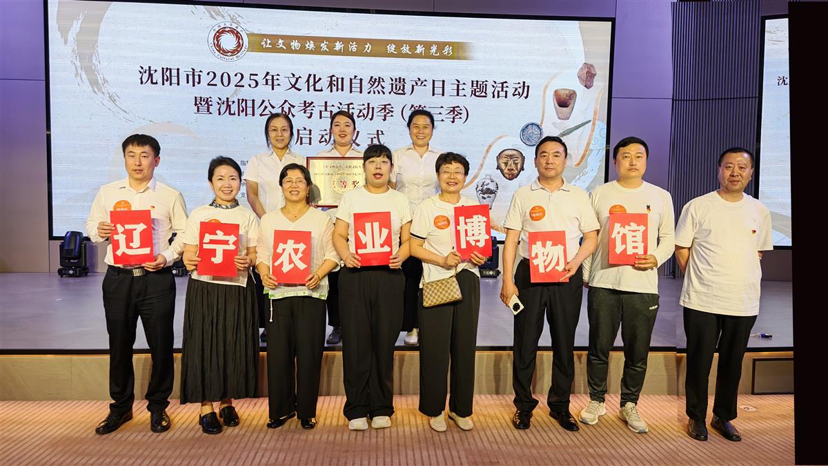 成人网站