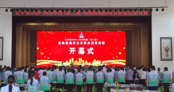 成人网站
