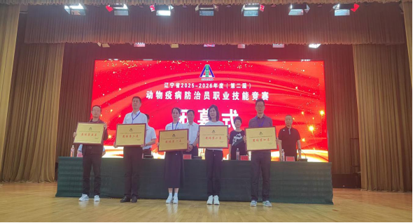 成人网站