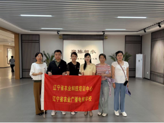 成人网站
