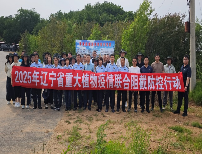 成人网站