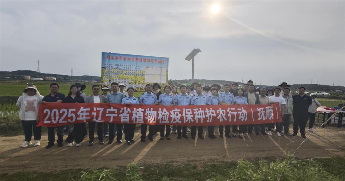 成人网站