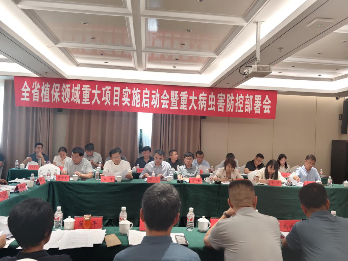 成人网站