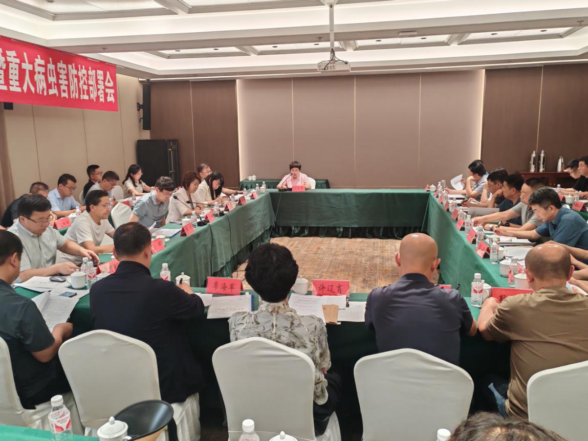 成人网站
