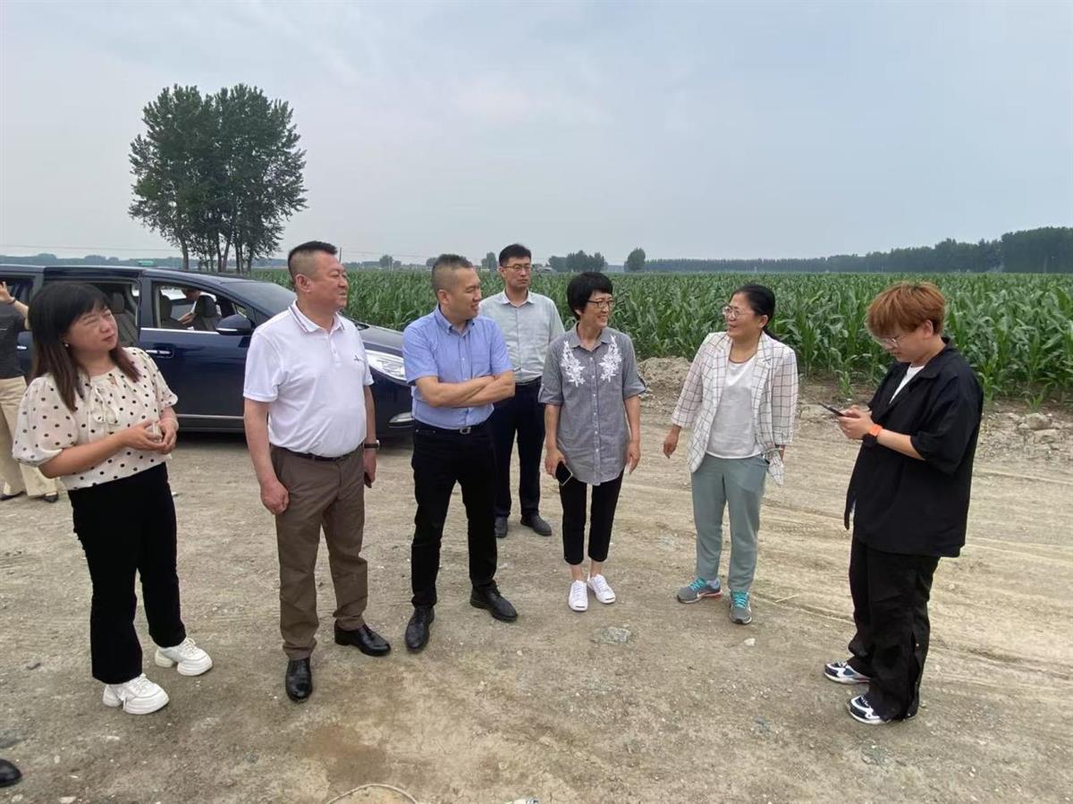 成人网站