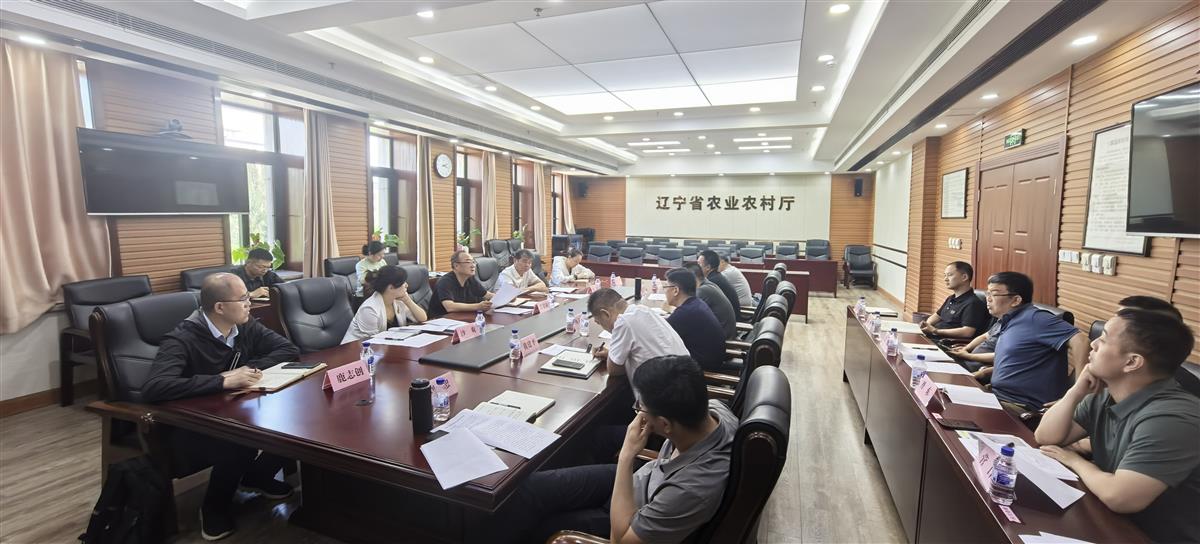 成人网站