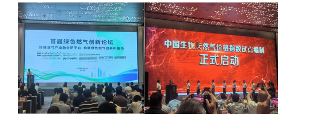 成人网站