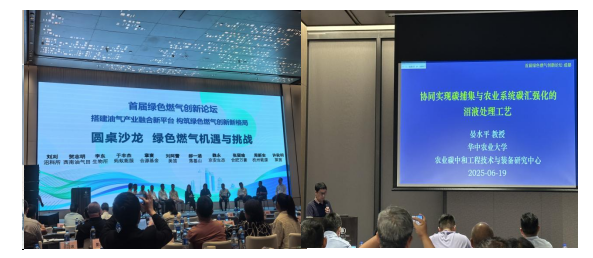 成人网站
