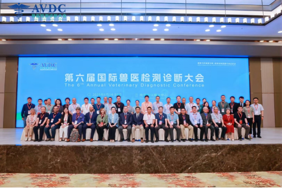 成人网站
