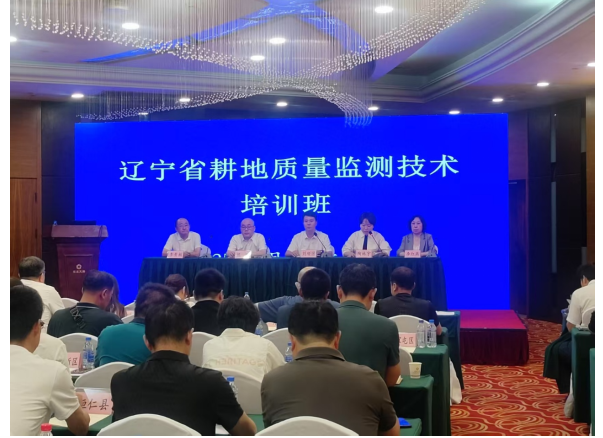 成人网站
