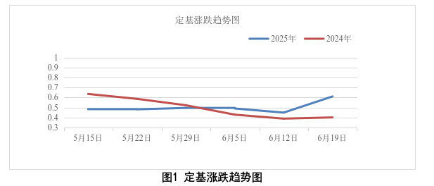 成人网站