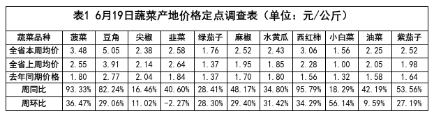 成人网站