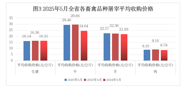 成人网站