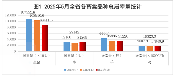 成人网站