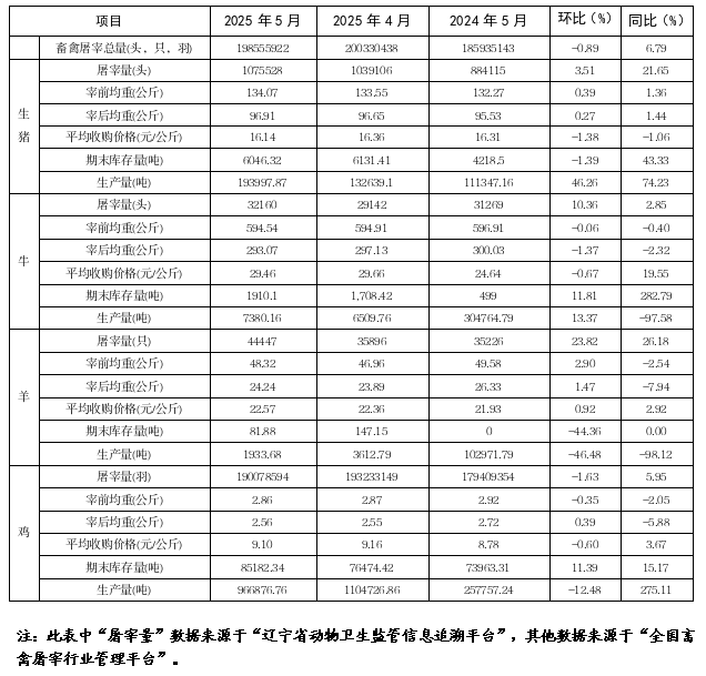 成人网站