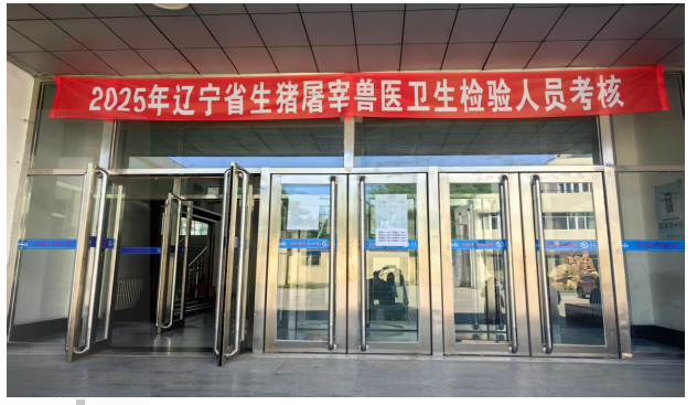 成人网站