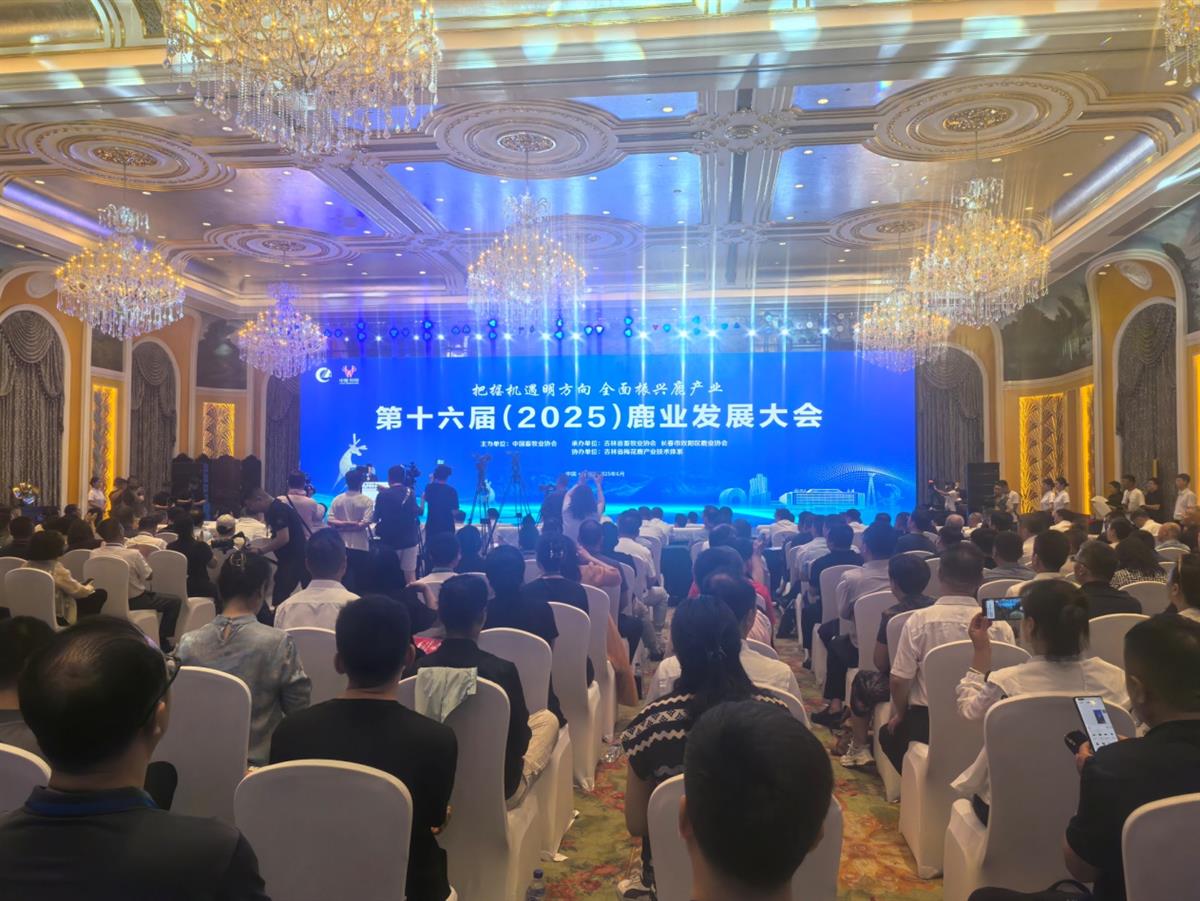 成人网站