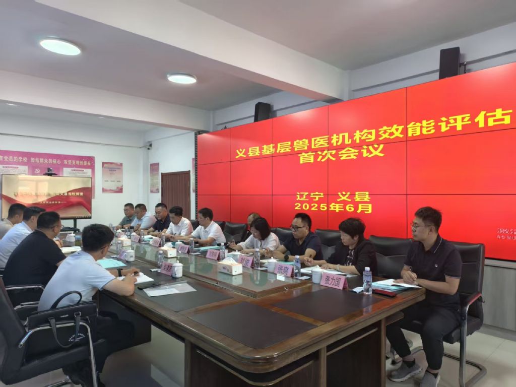成人网站