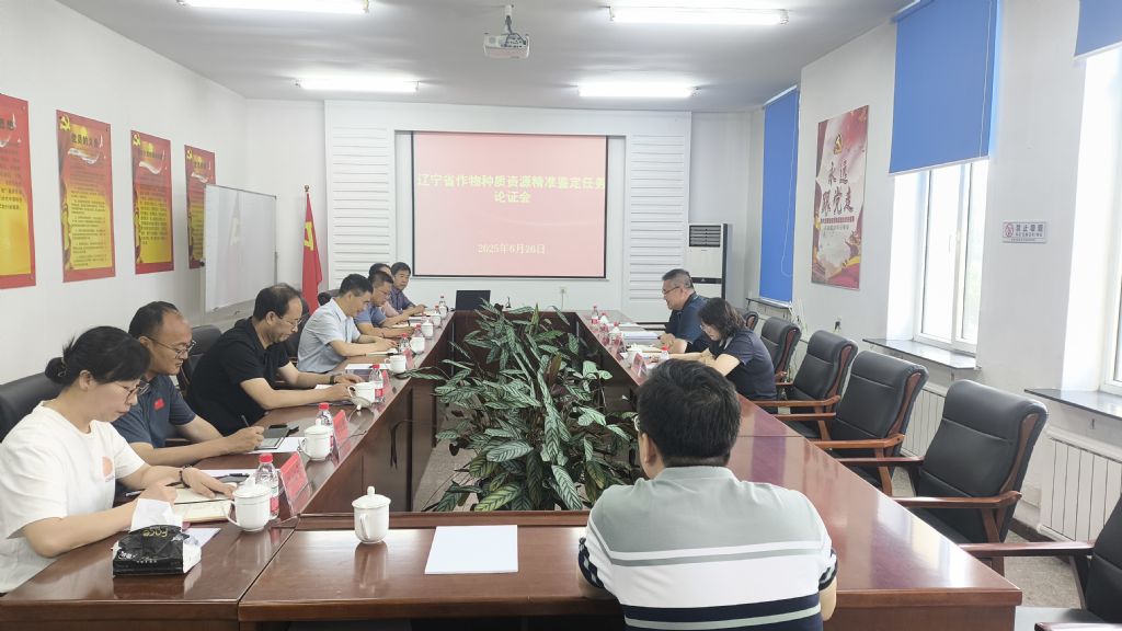 成人网站