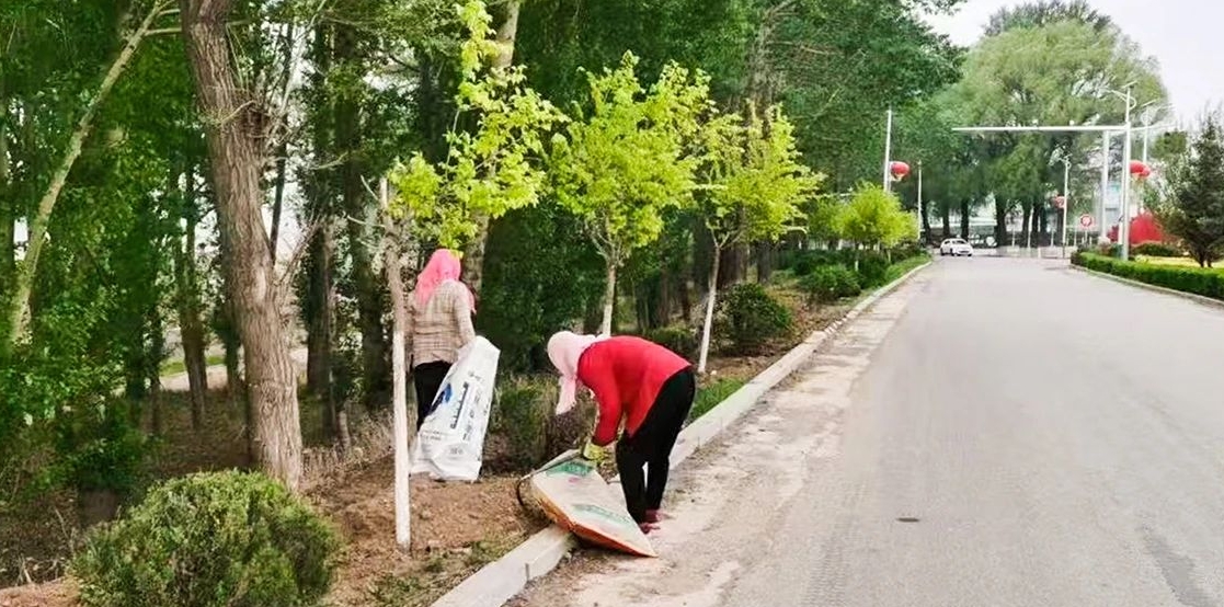 成人网站