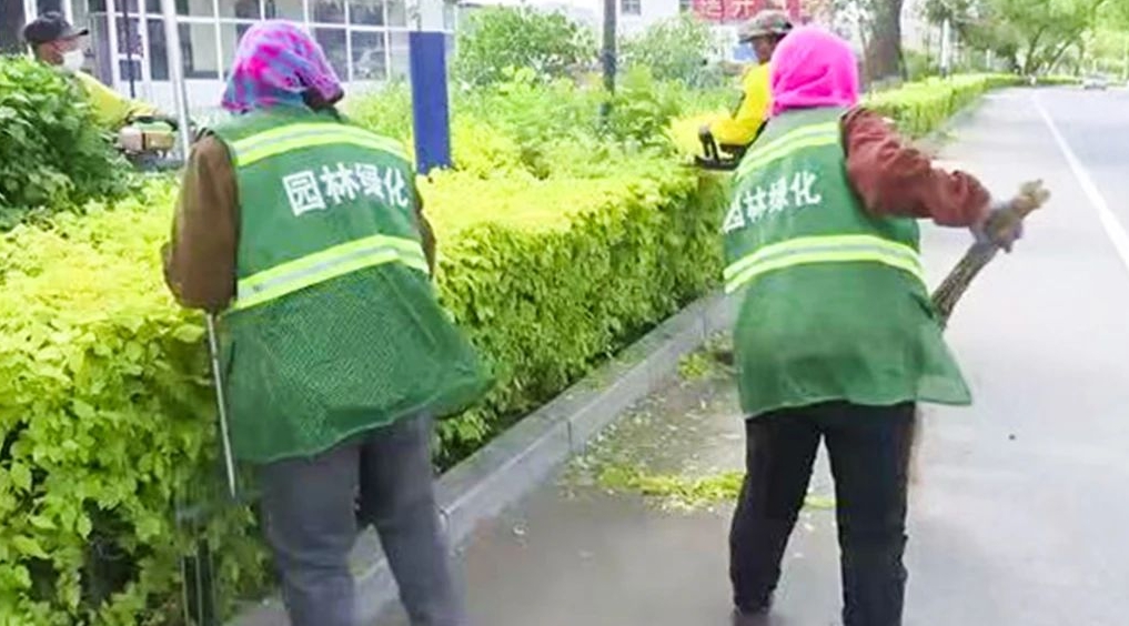 成人网站