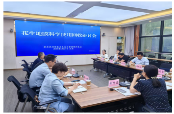 成人网站