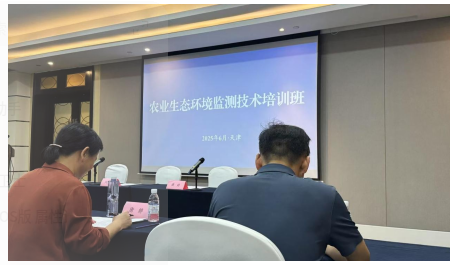 成人网站