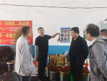 成人网站