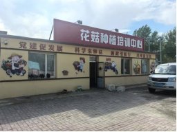 成人网站