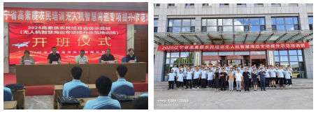 成人网站