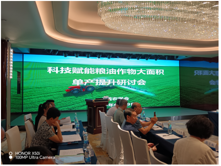 成人网站