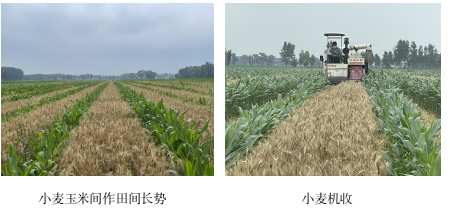 成人网站