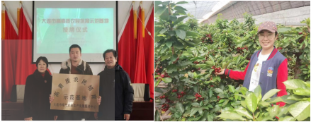 成人网站