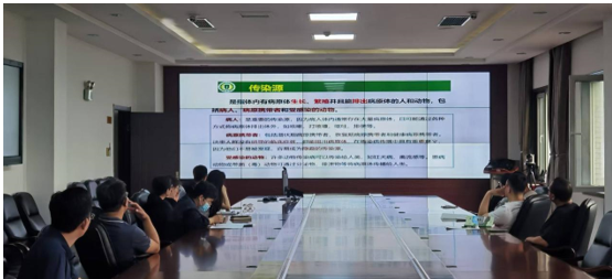 成人网站