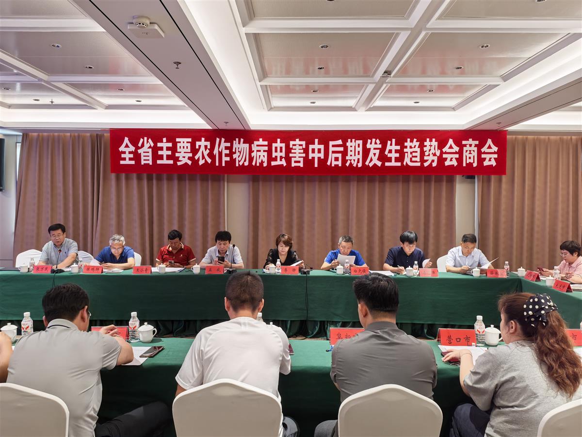 成人网站