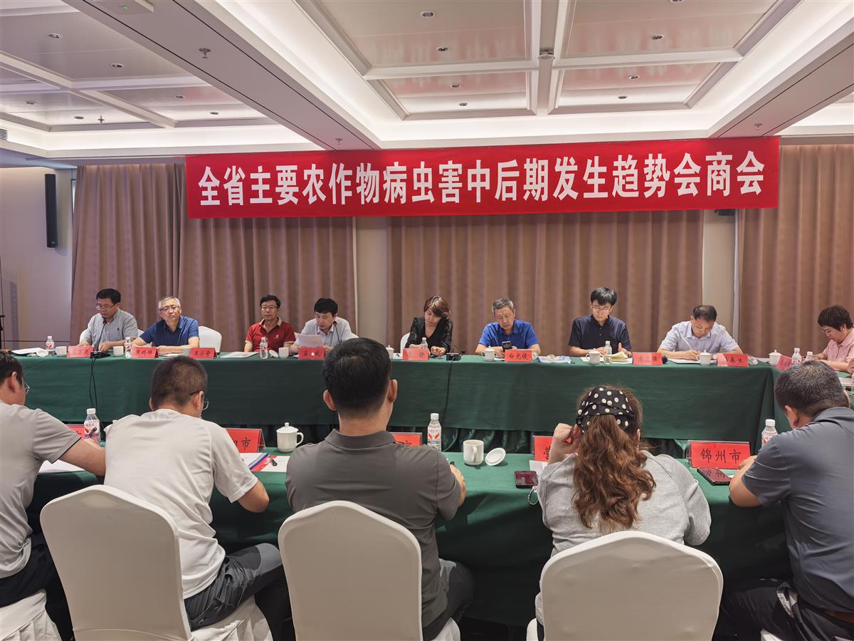 成人网站