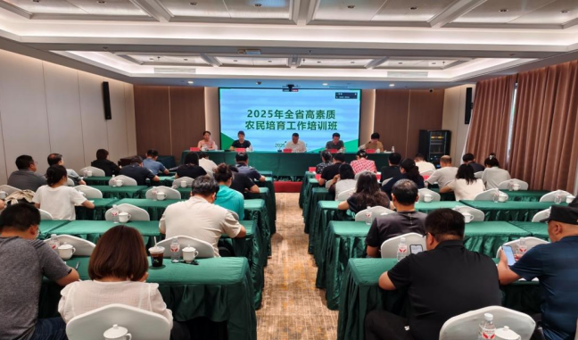 成人网站