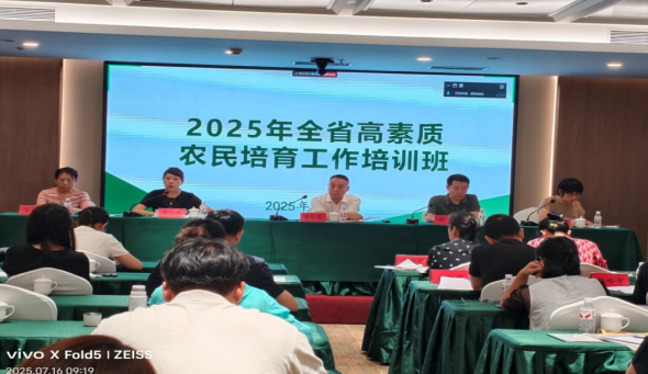 成人网站