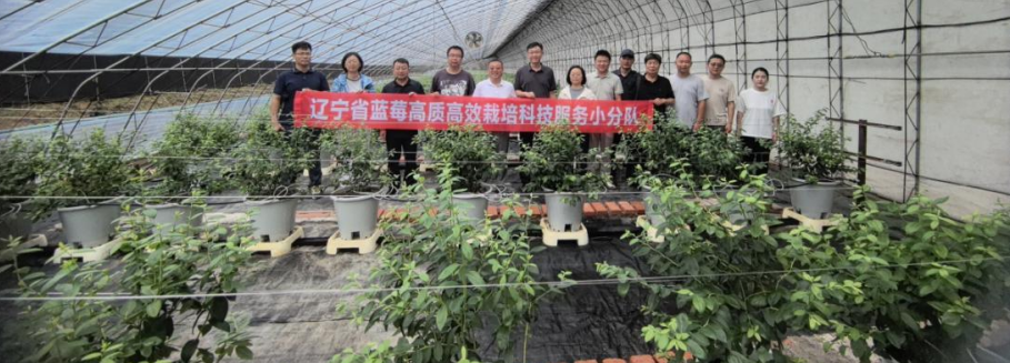 成人网站