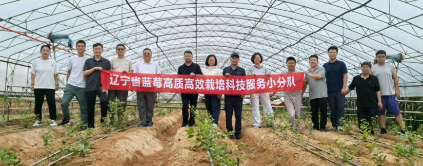 成人网站