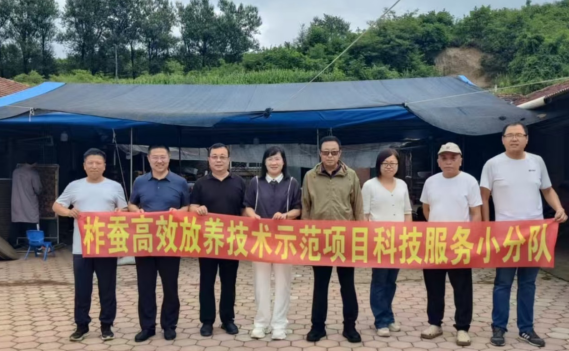成人网站
